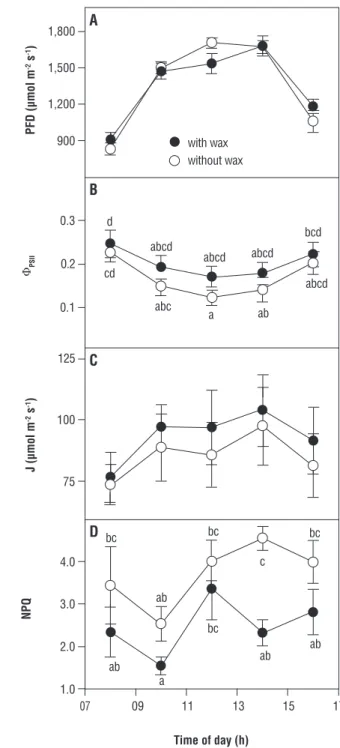 Figure 4. Daily changes during the dry season in the field in: 