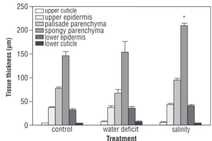 Figure 6. Changes with treatment in leaf tissue thickness of plants  of Nicotiana glauca subjected to frequent watering, water deficit  or salinity in the greenhouse
