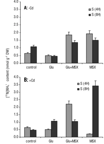 Figure 1. Changes in the level of [ 15 N] ammonium in shoot  tissues treated (A) or not treated with cadmium (B)