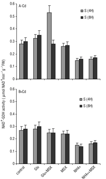 Figure 6. Effect of cadmium on the activity of glutamate  dehydrogenase NAD + -dependent (NADH-GDH) in shoot tissue of  tomato plants, which were treated or not treated with MSX (GS  inhibitor)