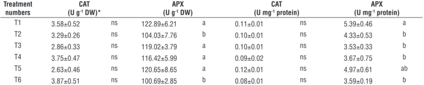 Table 5. Effects of salt stress on chlorophyll (a + b), carotenoids  as well as on the ratio of Chl/Car in Jatropha curcas plants grown  under 0 (T1), 0.7 (T2), 1.4 (T3), 2.1 (T4), 2.8 (T5), and 3.5 (T6)  dS m -1  of electrical conductivity in irrigation w