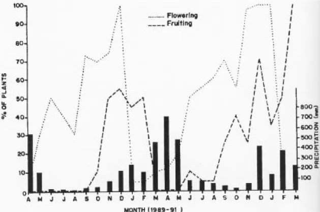 Figure 2. Reproductive phenology of C. multispicata in an abandoned pasture of eastern Amazonia.