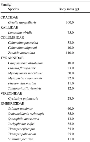 Table 2. Bir species that forage fruits os C. multispicata in an abandoned pasture of eastern Amazonia.