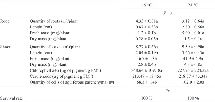 Table 1 shows the slow growth of V. inflata cultured  at  15 °c,  without  alterations  in  the  tissues  and  in  the  pigments  as  those  grown  at  28 °c
