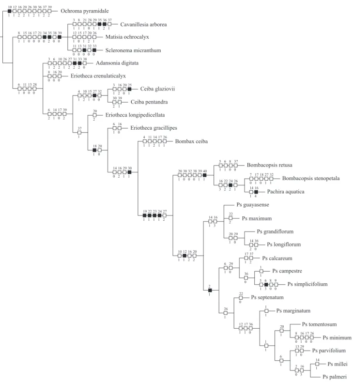 Figure 11. One of the nine most parsimonious trees, with acctran characters optimization