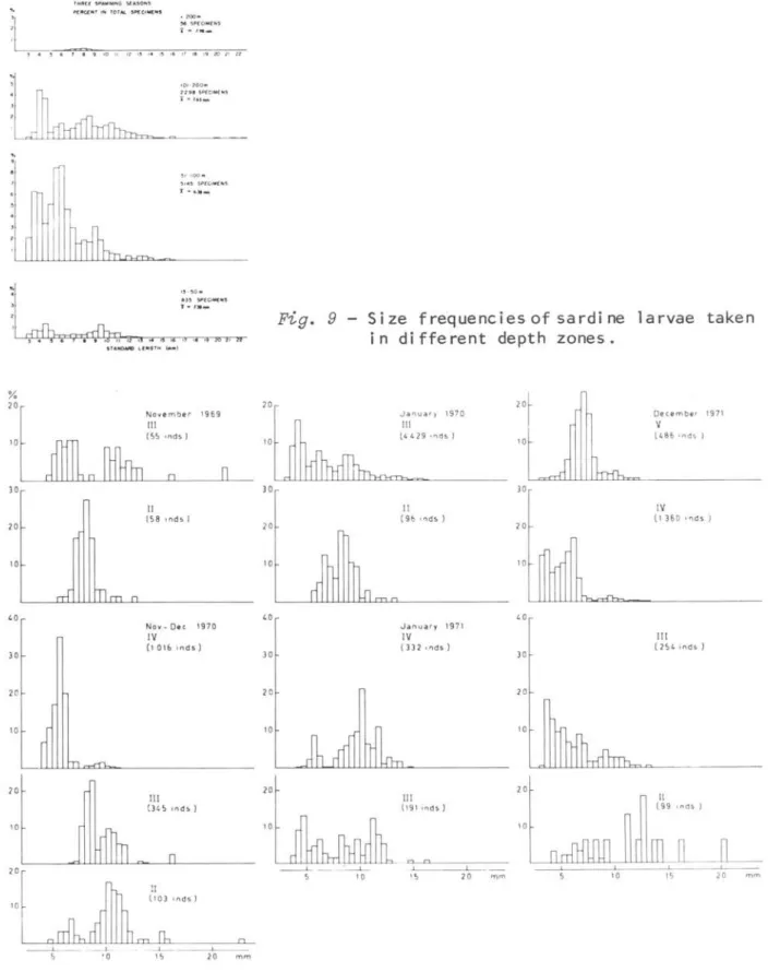 Figo  9  - Size  frequenciesof  sardine  larvae  taken  in  different  depth  zones. 