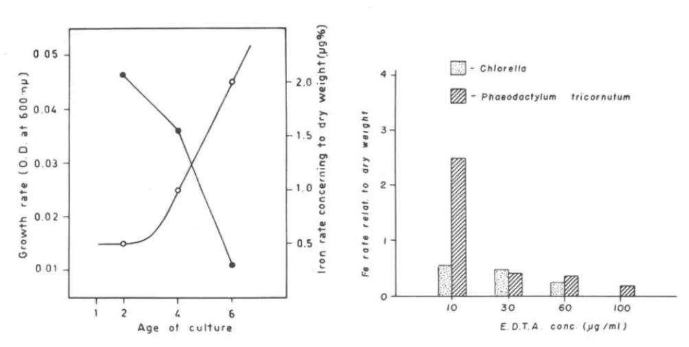 Fig.  3  - Iron  assimilation  by  ChZoreZZa  sp.  and  PhaeodaatyZum  triaornutum  as  a  function  of  the  concentration  of  EDTA