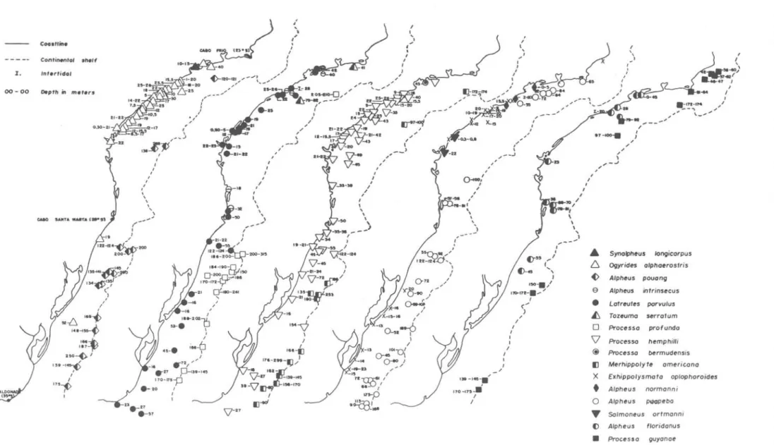 Fig.  6.  Distribution  of  tropical  and  subtropical  species  of  Alpheoidea  in  the  warm-temperate  shelf  waters  of  eastern  South  America