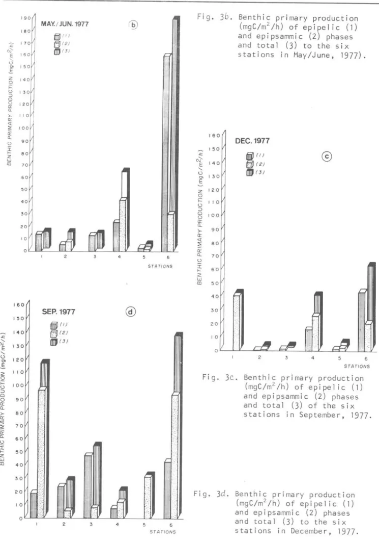 Fig.  36.  Benthic  primary  production  (mgC/m 2 /h)  of  epipel ic  (1)  and  epipsammic  (2)  phases  and  total  (3)  to  the  six  stations  in  May/June,  1977)