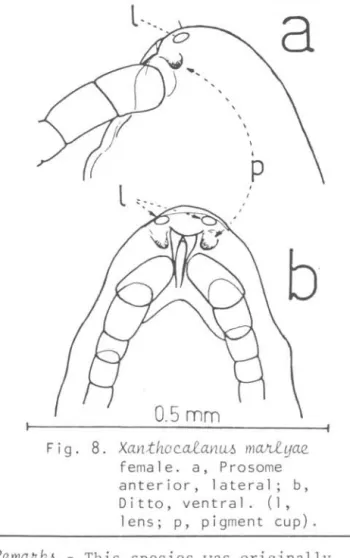 Fig.  8.  Xantho~alanu~  mah!yae 