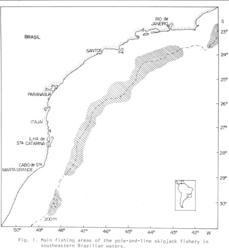 Fig.  1.  Main  fishing  areas  of  the  pole-and-l ine  skipjack  fishery  in  southeastern  Brazil ian  waters