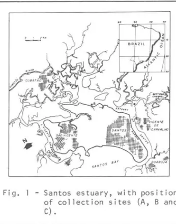 Fig.  1  - Santos  estuary,  with  position  of  collection  sites  (A,  B  and  C)  • 