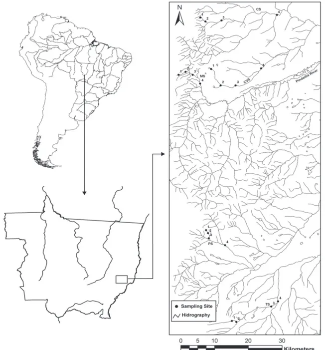 Figure 1. Study sites location in the Basin Pindaíba River, Mato Grosso, Brazil.