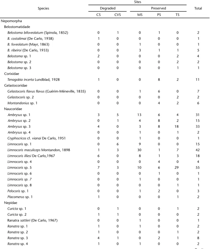 Table I. Nepomorpha and Gerromorpha abundance, based on samples carried out in the Pindaíba River Basin, Mato Grosso, 2008