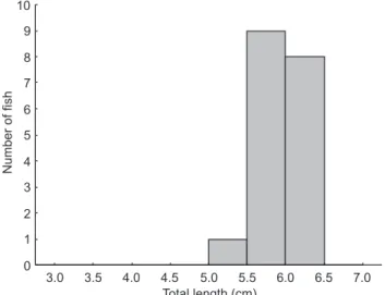Figure 3. Number of fish per total length class tested for prolonged speed determination.