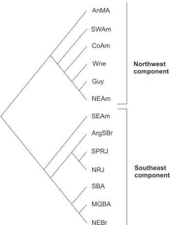 Figure 9. Historical relationship between the internal sub-compo- sub-compo-nents within the Southeast and Northwest composub-compo-nents found in A MORIM  &amp; P IRES ’ (1996) classification, modified from A MORIM  &amp; P IRES