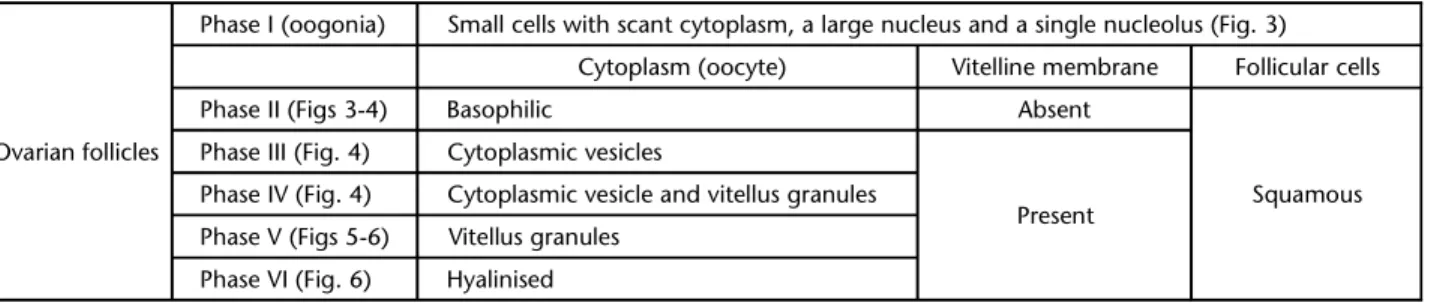 Table I. Description of the main features defining each phase of ovarian follicle development in A