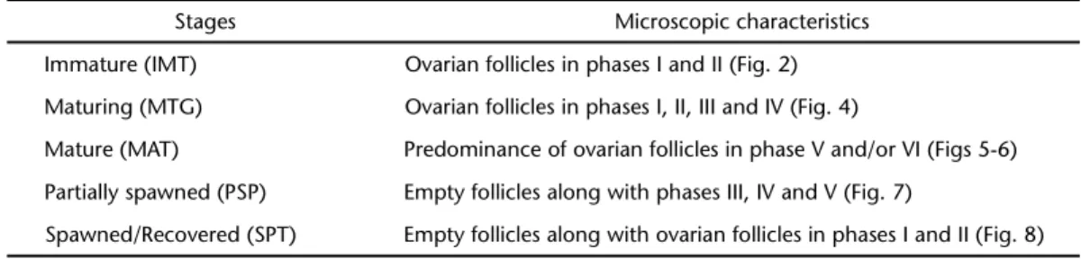 Table II. Description of the five stages of ovarian development observed in A. lineatus in the Paranaguá Bay, state of Paraná