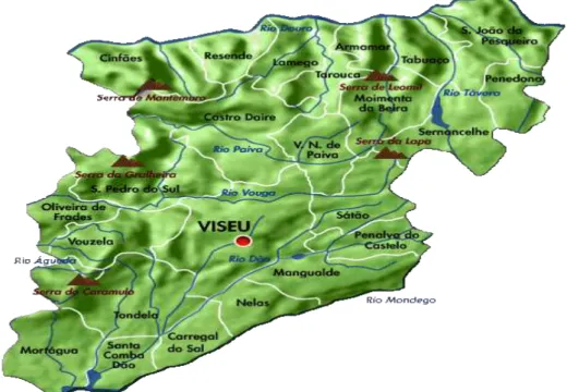 Figura 7 – Divisão do distrito de Viseu 