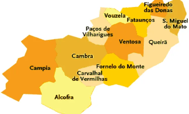 Figura 8 – Subdivisão do concelho de Vouzela. 
