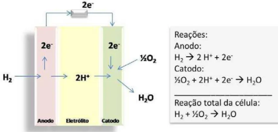 Figura 1. Princípio de operação da célula a combustível com eletrólito condutor de  prótons