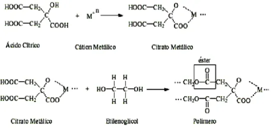Figura 9. Esquem O ácido atua como estão dissolvidos como s forma de cloretos, carb 1989)