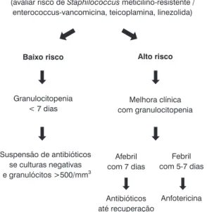 Tabela 1 - Fatores de baixo risco de infecção grave em pacientes