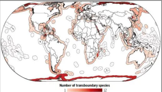 Fig. 5 Exclusive Economic Zones projected to contain one or more new fishery stocks by  2100, using RCP 8.5 scenario [Source: Pinsky et al