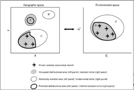 Fig.  8  Illustration  of  the  relationship  between  the  different  distributional  areas  of  a  species in geographic and environmental space, and its modelled distribution and niche  [Source: Araújo &amp; Peterson (2012)]