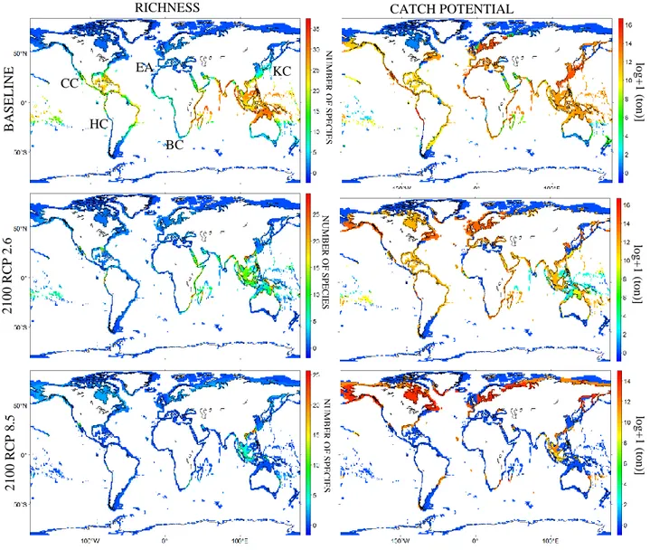 Fig. 1 Projected richness and catch potential for small pelagic fishes for the baseline and  end-of-century periods, under the RCP 2.6 and 8.5 scenarios