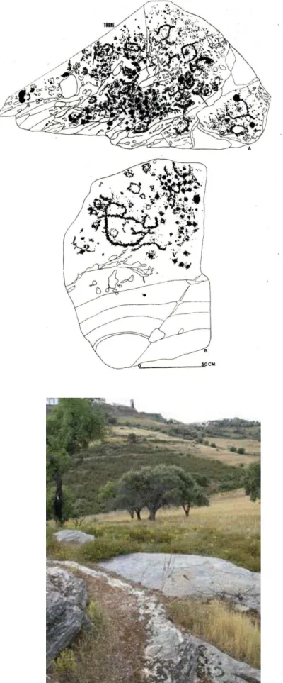 Fig. 4. Painéis de xisto gravados no povoado do Bronze 