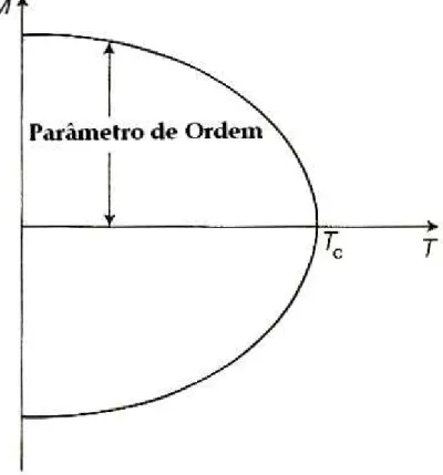 Figura 2.3: Magnetização a campo nulo de um ferromagneto simples.