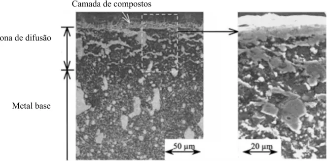 Figura 2.2  ± Micrografia óptica do aço AISI D6 nitretado (a) e detalhe da interface camada de compostos - zona 