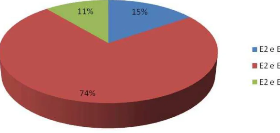 Gráfico 6 – Distribuição dos Estilos de Liderança – E2 com os demais estilos   Fonte: Dados da Pesquisa (2010) 