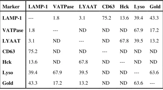 Table  1.  Colocalization  of  different  late  endocytic  markers  by  immunofluorescence microscopy in uninfected J774 cells 