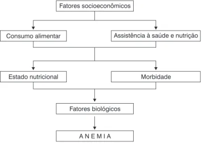 Figura 1 -  Modelo hierárquico dos fatores determinantes da anemia