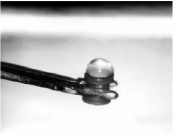 Figura 2 - Gota de água sobre tubo de ventilação sem ocorrer passagem através do orifício