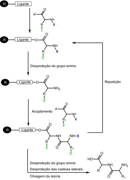 Figura 1.13: Esquema geral da SPFS. Z (em verde) representa o grupo protetor permanente da cadeia lateral do  resíduo de aminoácido
