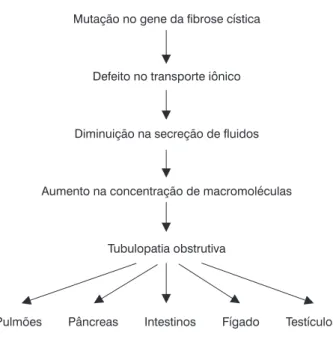 Figura 1 - Fisiopatogenia da fibrose cística