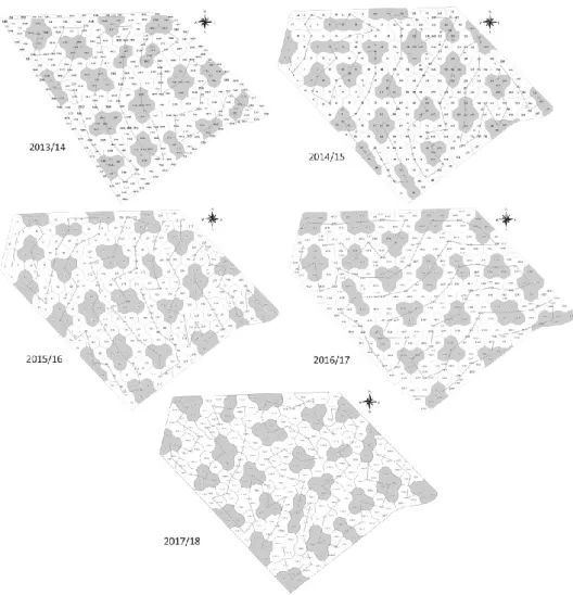 Figura 2 – Grades amostrais utilizadas para coletas de solo da área com seus respectivos  caminhamentos, referentes às safras de 2013/14 a 2017/18 