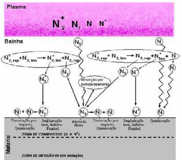 Figura 2.7 - Modelo para Mecanismo da nitretação de aços por plasma (WALKOWWICK, 2003)