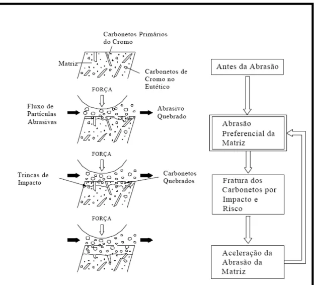 Figura 9  ± Representação esquemática do processo de desgastes abrasivo ±  Fujimura et al, 1988 [16]