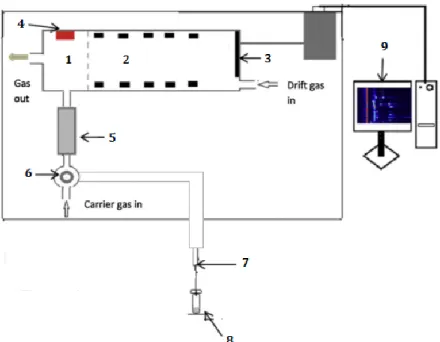 Figure 4.4 - Schematic diagram of an IMS equipment associated with a pre-separation technique