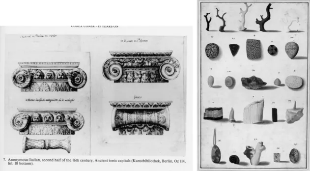 Fig. 11 – Ancient ionic capitals; Anónimo italiano  (colecção Cassiano Dal Pozzo) 