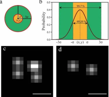 Figure 3.5 -  Localization uncertainty and merging same molecules appearing on consecutive frames 