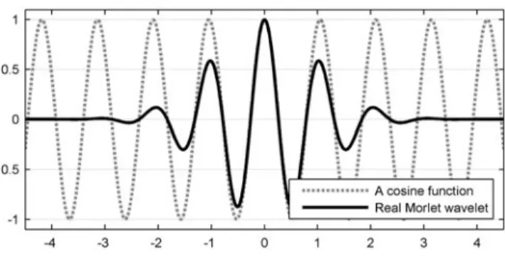 Fig. 1 A wavelet and a cosine function