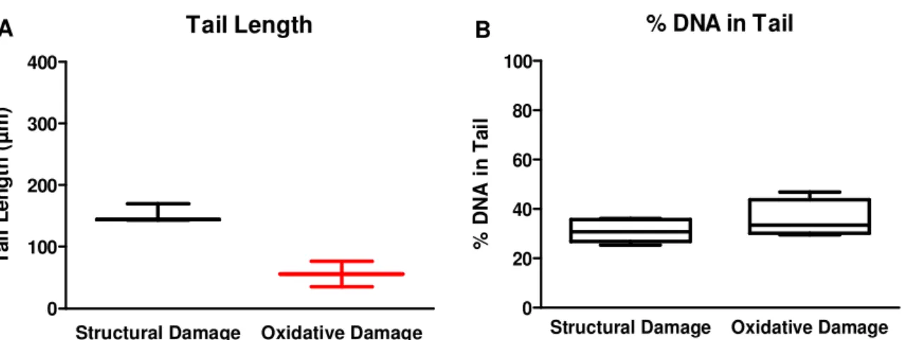 Figure 17 – Graphic representations of the standard cells tail length and percentage of  DNA in tail data mean values (70 comets in average per slide)