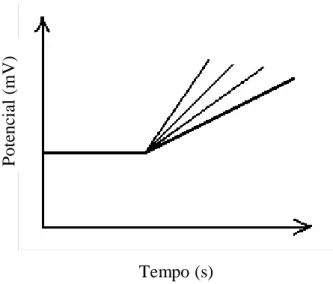 Figura 3.8- Gráfico representativo da voltametria de varredura – Aquisição dos dados. 