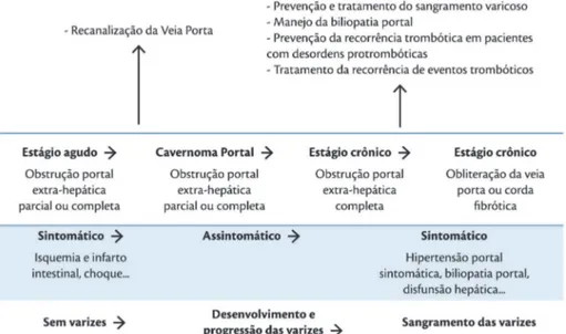 Figura 6. Progressão da trombose de veia porta e estratégia terapêutica em pacientes não neoplásicos e não cirróticos