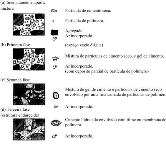 Figura 3.1 - Modelo da formação da matriz de cimento-polímero (Ohama, 1998). 